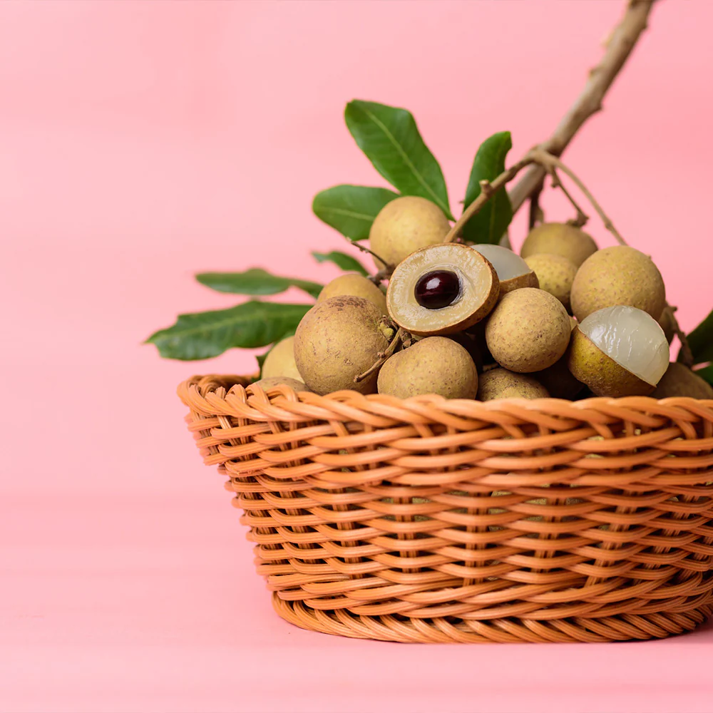 Longan Tree - FastGrowingTrees