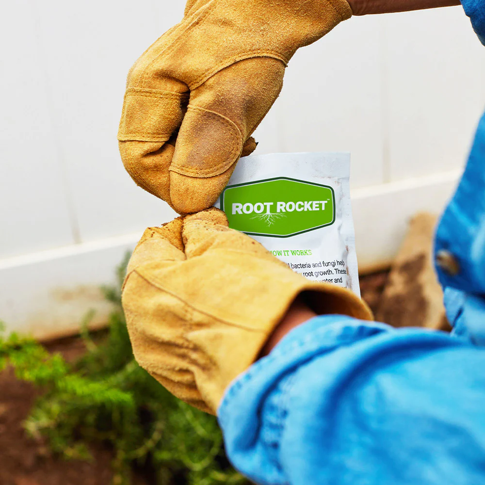From Roots To Rockets Root Rocket® Fertilizer - FastGrowingTrees