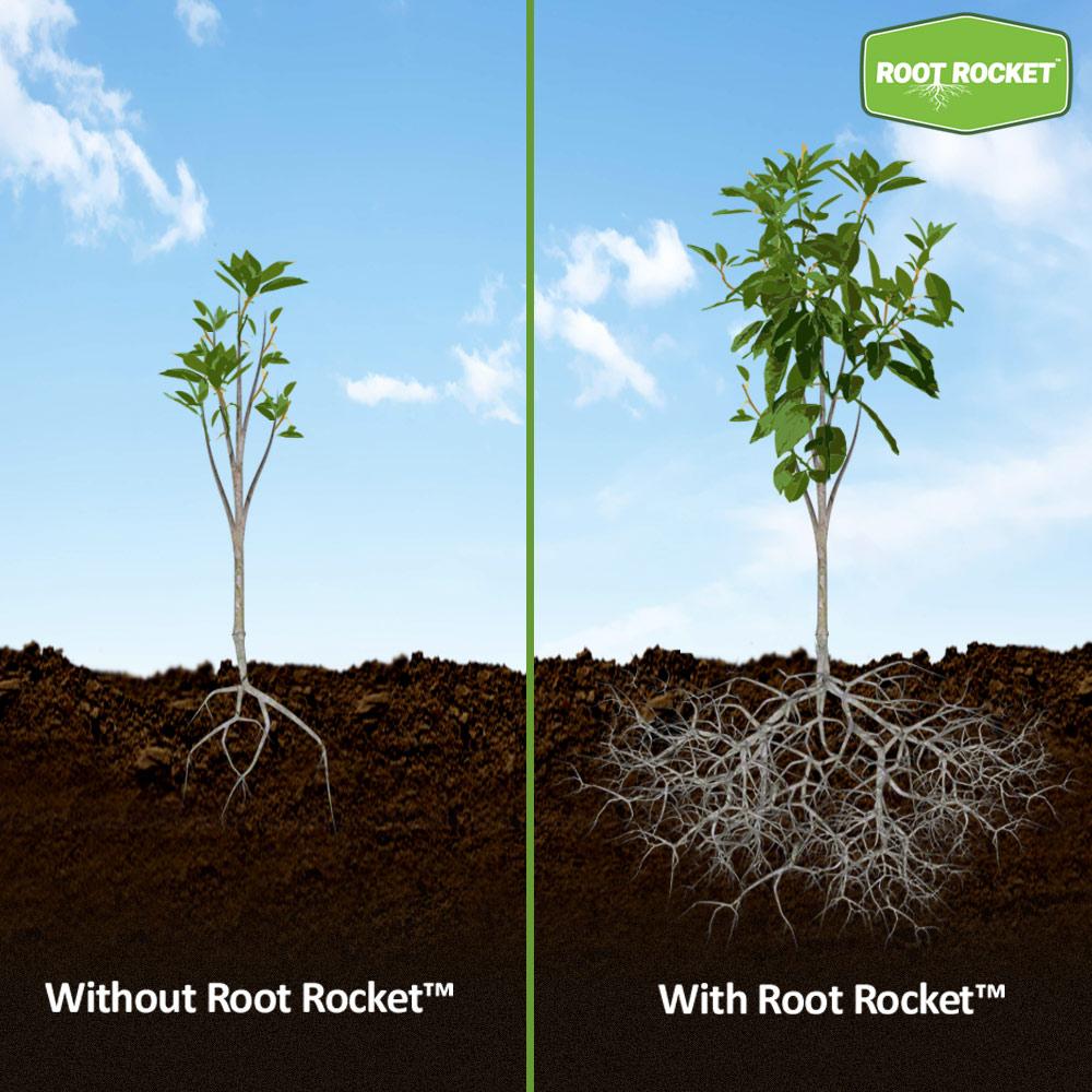 From Roots To Rockets Root Rocket® Fertilizer - FastGrowingTrees