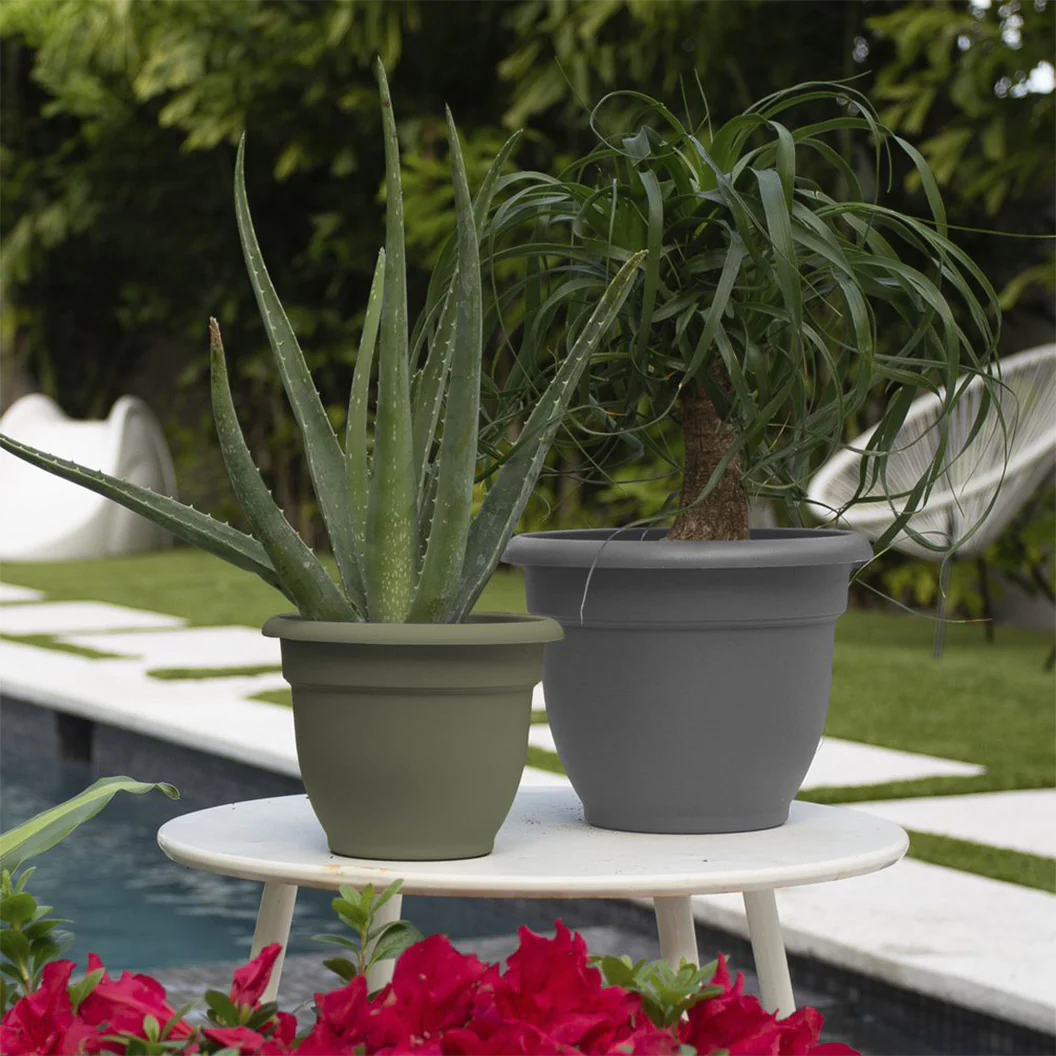 Bloem Ariana Self-Watering Planter In Charcoal - FastGrowingTrees